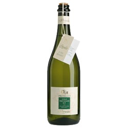 Prosecco Colli Trevigiani Treviso Pizzolato DOC (herb) von Riegel