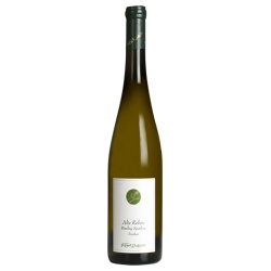 Riesling Alte Reben trocken Mosel Brohl Spätlese 2020 Riesling Alte Reben trocken Mosel Brohl Spätlese 2020 von Riegel