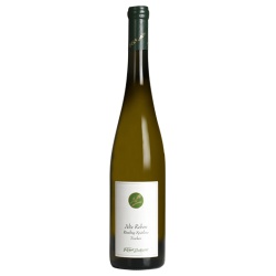 Riesling Alte Reben trocken Mosel Brohl Spätlese 2020 von Riegel