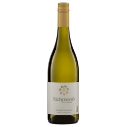 Sauvignon Blanc Nelson Richmond Plains 2020 von Riegel