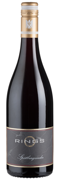 Spätburgunder trocken (Bio) - 2020 - Rings - Deutscher Rotwein Spätburgunder trocken (Bio) - 2020 - Rings - Deutscher Rotwein von Rings