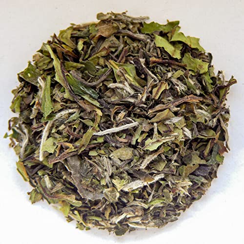 Pai Mu Tan Weißer Tee (1000g) von Roberts Teehaus