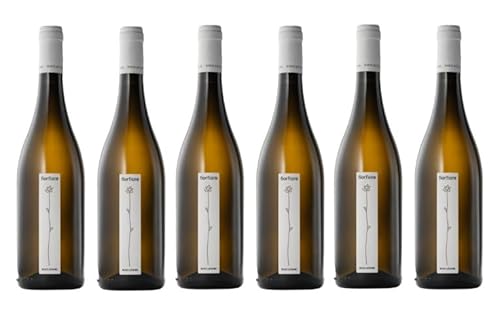 6x 0,75l - 2019er - Roccafiore - Fiorfiore - Grechetto - Umbria I.G.P. - Umbrien - Italien - Weißwein trocken 6x 0,75l - 2019er - Roccafiore - Fiorfiore - Grechetto - Umbria I.G.P. - Umbrien - Italien - Weißwein trocken von Roccafiore