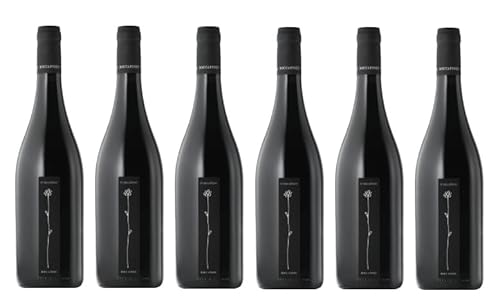 6x 0,75l - 2021er - Roccafiore - Il Roccafiore - Sangiovese - Umbria I.G.P. - Umbrien - Italien - Rotwein trocken 6x 0,75l - 2021er - Roccafiore - Il Roccafiore - Sangiovese - Umbria I.G.P. - Umbrien - Italien - Rotwein trocken von Roccafiore