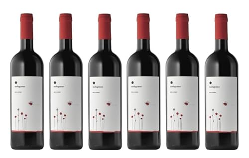 6x 0,75l - 2022er - Roccafiore - Melograno - Rosso - Umbria I.G.P. - Umbrien - Italien - Rotwein trocken von Roccafiore