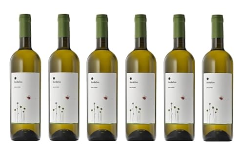 6x 0,75l - 2023er - Roccafiore - Fiordaliso - Bianco - Umbria I.G.P. - Umbrien - Italien - Weißwein trocken 6x 0,75l - 2023er - Roccafiore - Fiordaliso - Bianco - Umbria I.G.P. - Umbrien - Italien - Weißwein trocken von Roccafiore