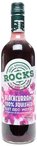 Rocks Bio-Kürbis, schwarze Johannisbeere, 740 ml, 2 Stück von Rocks