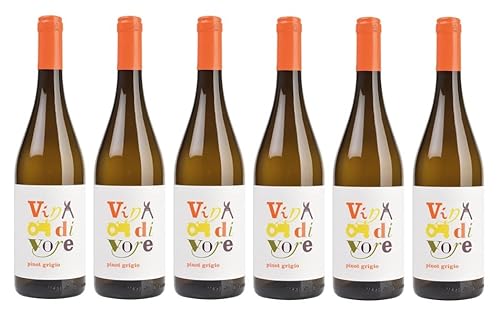 6x 0,75l - 2023er - Ronco del Gelso - Vin di Vore - Pinot Grigio - Friuli D.O.P. - Italien - Weißwein trocken von Ronco del Gelso