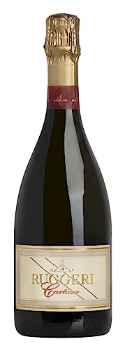 Ruggeri Prosecco Superiore di Cartizze Dry DOCG – Italienischer Schaumwein aus der Region Valdobbiadene (1 x 0,75l) von Ruggeri