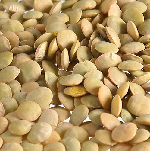 Linsen, blond, mittel, Tellerlinsen, Frankreich, 5 kg Linsen, blond, mittel, Tellerlinsen, Frankreich, 5 kg von Sabarot