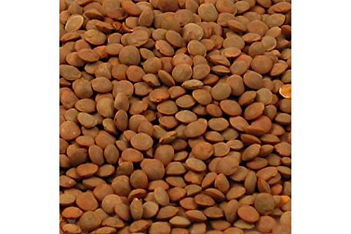 Linsen, braun klein - /Pantelleria Linsen, Champagne/Frankreich, 5 kg Linsen, braun klein - /Pantelleria Linsen, Champagne/Frankreich, 5 kg von Sabarot
