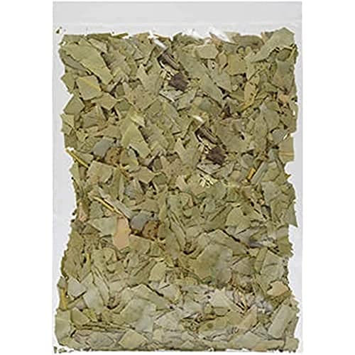 SABOREATE Y CAFE THE FLAVOUR SHOP Bulk Natural Infusion Eukalyptusblatt des Jahres, 1 kg von SABOREATE Y CAFE THE FLAVOUR SHOP