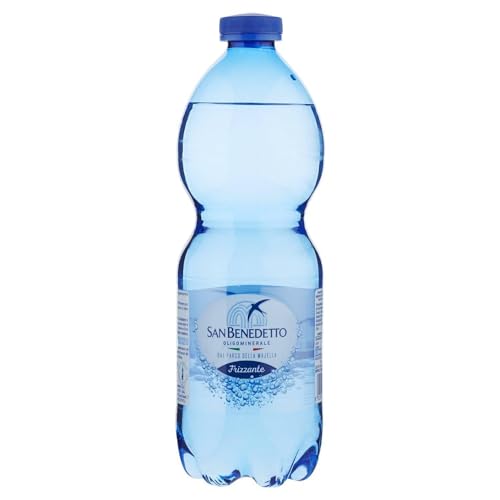 SPRUDELNDES SAN GESEGNETES WASSER 24 X 500 ML von San Benedetto