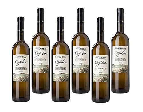 SANT'ANDREA OPPIDUM 2023 MOSCATO DI TERRACINA DOC SECCO 75 CL - 6 FLASCHEN SANT'ANDREA OPPIDUM 2023 MOSCATO DI TERRACINA DOC SECCO 75 CL - 6 FLASCHEN von SANT'ANDREA