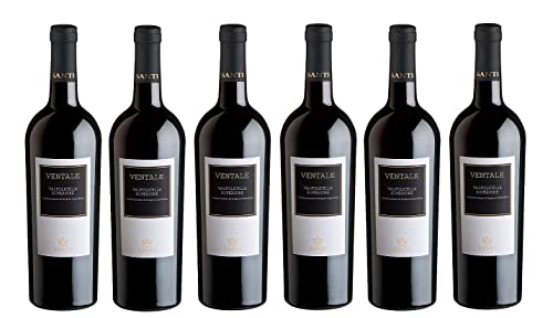 6x 0,75l - Cantina Santi - Ventale - Valplicella Superiore D.O.P. - Veneto - Italien - Rotwein trocken von SANTI