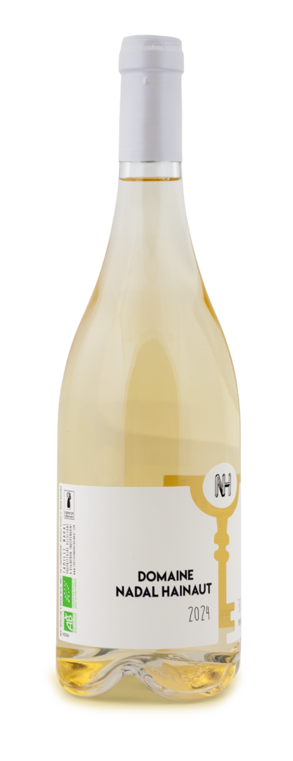 2024 3 Sources Macabeu blanc von SARL Nadal