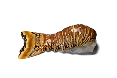 Karibik Langustenschwanz - Spiny Lobster Tail - Rock Lobster Tail / roh / >310g / Wildfang aus dem Karibisches Meer Karibik Langustenschwanz - Spiny Lobster Tail - Rock Lobster Tail / roh / >310g / Wildfang aus dem Karibisches Meer von SEPEHR DAD CAVIAR