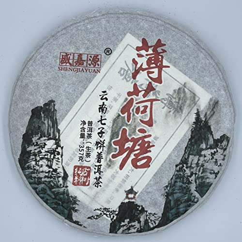 Pu-Erh tea,2020,SHENG JIA YUAN,薄荷塘 Mint pond,357g,Raw Pu-Erh tea,2020,SHENG JIA YUAN,薄荷塘 Mint pond,357g,Raw von SHENG JIA YUAN