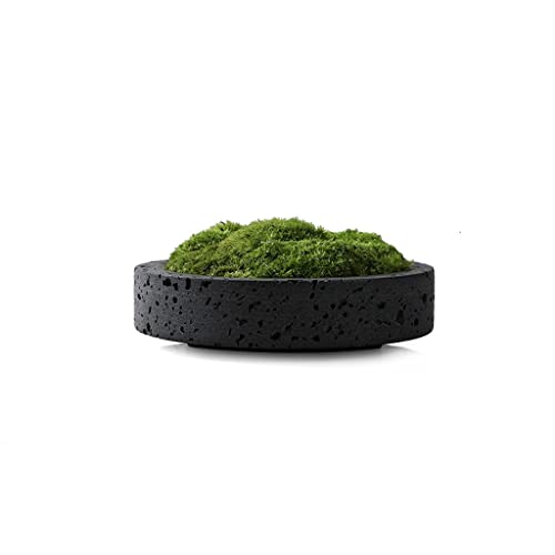 SHOUKAII Künstlicher Bonsai-Baum, einfache, Moderne Kunstpflanze, Moosgrünpflanze, Dekoration, Kunsthandwerk, geeignet for Heim-Desktop-Topfdekorationen, gefälschte Topfpflanze(A) von SHOUKAII