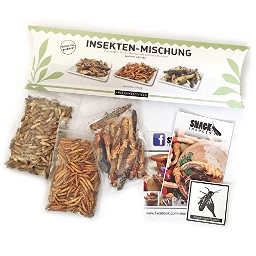 Essbare Insekten Mischung von 'SNACK insects' - 25g Insekten zum Essen - Grillen, Heuschecken & Mehlwürmer von SNACK insects