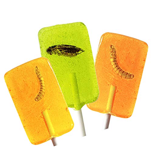 SNACK insects Lutscher mit echten Insekten im Lolli, 3 Insektenlutscher je 20g I essbare Insekten Lutscher SNACK insects Lutscher mit echten Insekten im Lolli, 3 Insektenlutscher je 20g I essbare Insekten Lutscher von SNACK insects