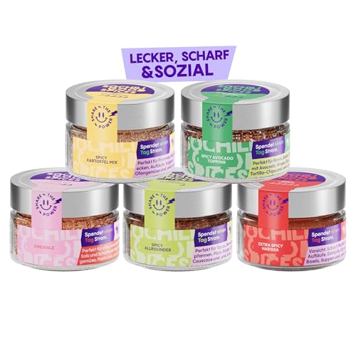 SOCHILI Gewürze Geschenkset | 5 scharfe Bio Gewürzmischungen mit Chili | Nachhaltiges BBQ & Grill Gewürz Set | Geschenkidee für Männer & Frauen von SOCHILI