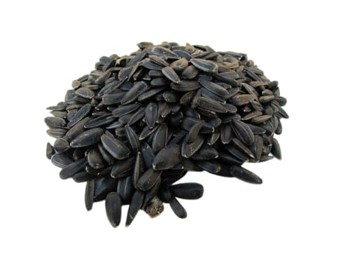Sonnenblumenkerne schwarz 25kg, aus aktueller regionaler Deutscher Ernte Sonnenblumenkerne schwarz 25kg, aus aktueller regionaler Deutscher Ernte von SOLIDE