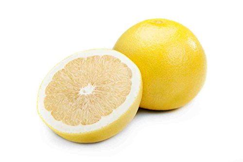 10 Samen von Paramount Citrus TEXAS Grapefruit SWEET (Mischung aus Orangen- und Trauben 10 Samen von Paramount Citrus TEXAS Grapefruit SWEET (Mischung aus Orangen- und Trauben von SVI