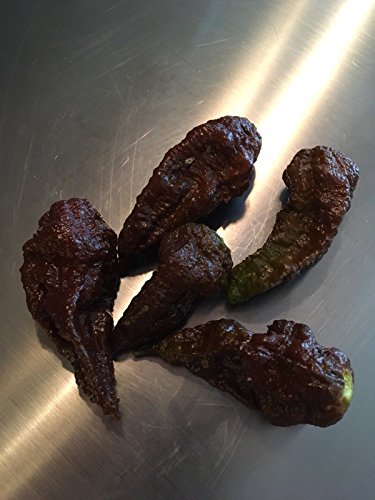 20 CHOCOLATE BHUTLAH Pfeffersamen ULTRA RARE 2017-HOTTER ALS Carolina Reaper !! 20 CHOCOLATE BHUTLAH Pfeffersamen ULTRA RARE 2017-HOTTER ALS Carolina Reaper !! von SVI