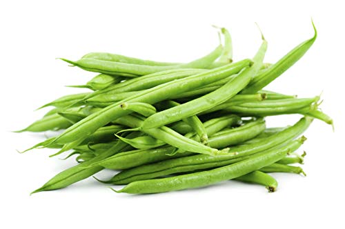 200 Samen der Crockett Filet Bean von SVI
