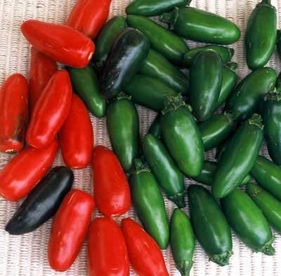 250 Samen von Serrano Chili - Peperoni 250 Samen von Serrano Chili - Peperoni von SVI