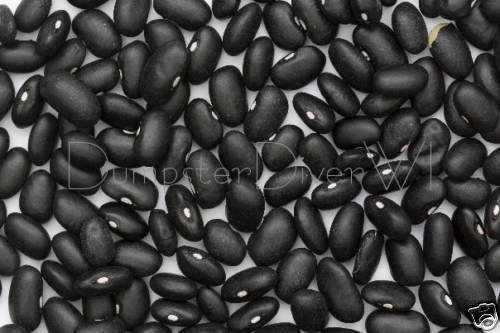 Black Turtle Bohnen 35+ Samen köstliche spanische Lieblings Bio-NON-GMO Black Turtle Bohnen 35+ Samen köstliche spanische Lieblings Bio-NON-GMO von SVI