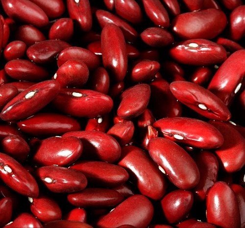 Dark Red Kidney-Bohnen Seeds - 100 Seeds - Heirloom von SVI