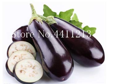 Dunkelbraun: Svi New 200 Stück Aubergine Bio-Gemüse, Samt für schönen Garten Dark Brown Dunkelbraun: Svi New 200 Stück Aubergine Bio-Gemüse, Samt für schönen Garten Dark Brown von SVI