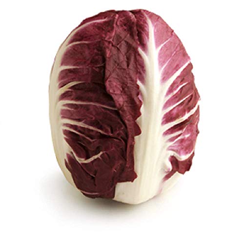 Endiviensalat Radicchio Rossa Di Verona Chicorée 1000 Samen Italienisch Erbstück Endiviensalat Radicchio Rossa Di Verona Chicorée 1000 Samen Italienisch Erbstück von SVI
