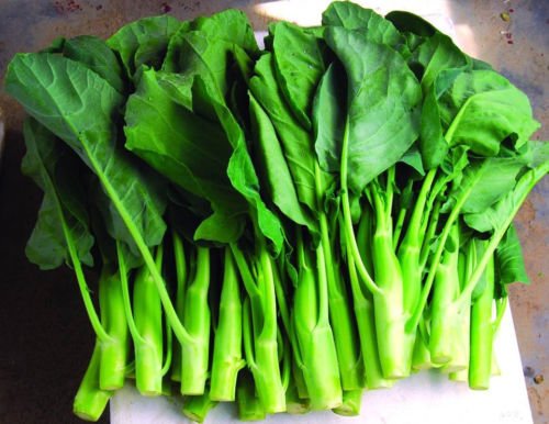 Erbstück KAILAAN Chinese Broccoli Kale KAI LAN❋500 SEEDS❋Asian Greens❋Gai Lan Erbstück KAILAAN Chinese Broccoli Kale KAI LAN❋500 SEEDS❋Asian Greens❋Gai Lan von SVI