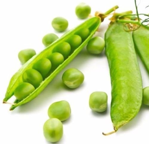 Green Arrow Schnee Erbse 50 Samen Pisum sativum Erbstück Non GMO CombSH J46 Green Arrow Schnee Erbse 50 Samen Pisum sativum Erbstück Non GMO CombSH J46 von SVI