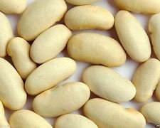 Runner Bean 'White Emergo' Erbstück Biologisch-100 Samen gewachsen! Runner Bean 'White Emergo' Erbstück Biologisch-100 Samen gewachsen! von SVI