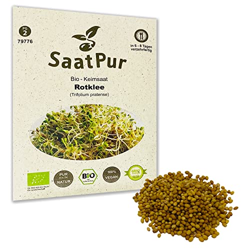 SaatPur Bio Keimsprossen - Keimsaat für Rotklee Sprossen, Microgreens - 50g von SaatPur