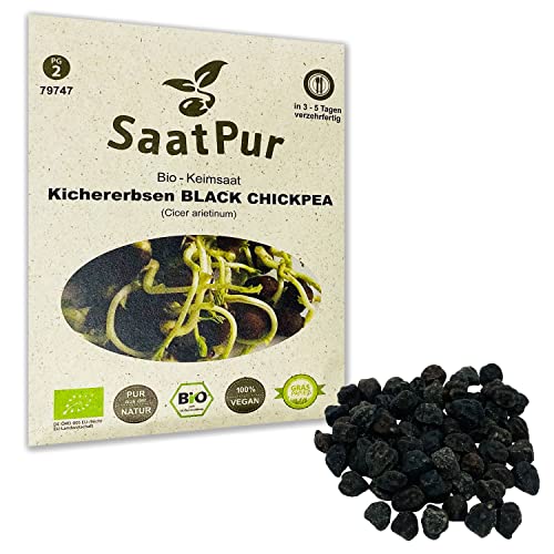 SaatPur Bio Keimsprossen - Kichererbsen Black Chickpea Sprossen, Microgreens - 50g von SaatPur