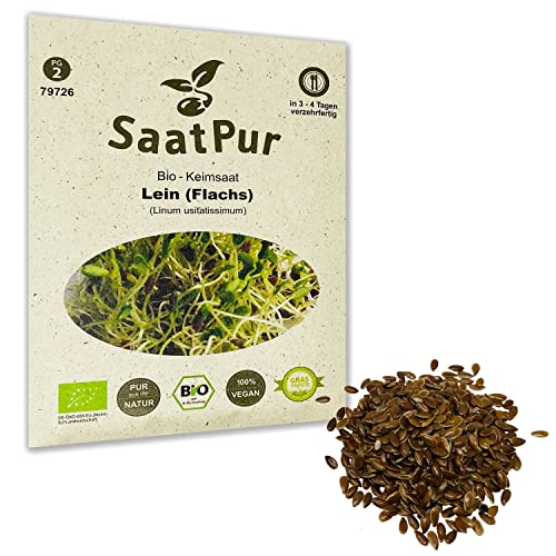 Lein (Flachs) BIO Keimsprossen von SaatPur - Sprossen Keimsaat, Microgreen - 60g von SaatPur