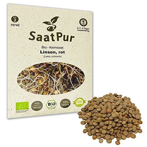 SaatPur Bio Keimsprossen - Linsen Rot Sprossen Keimsaat, Microgreen - 75g rote Linsen von SaatPur