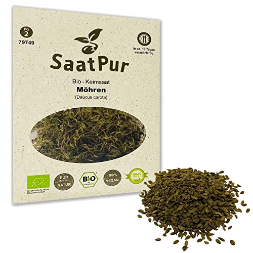 SaatPur Bio Keimsprossen - Möhren Sprossen Keimsaat, Microgreen - 15g von SaatPur