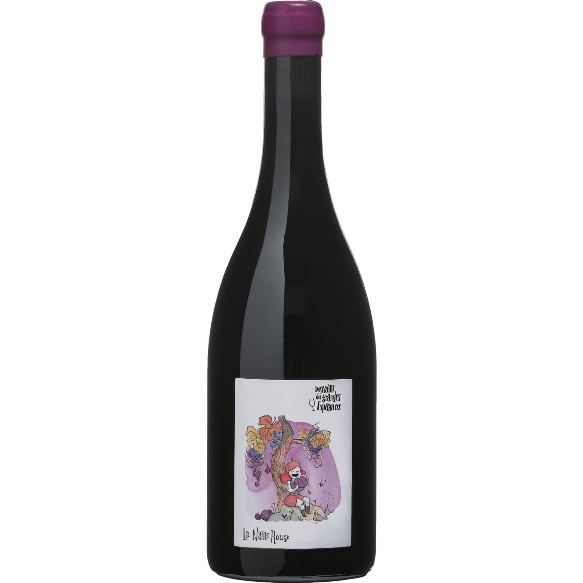 Domaine des Grandes Esperances La Naine Rouge, Touraine AOP, Loire, 2018, Rotwein Domaine des Grandes Esperances La Naine Rouge, Touraine AOP, Loire, 2018, Rotwein von Saget la Perrière, La Castille, 58150 Pouilly-sur-