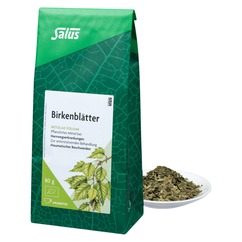 Bio Birkenblätter Tee Bio Birkenblätter Tee von Salus