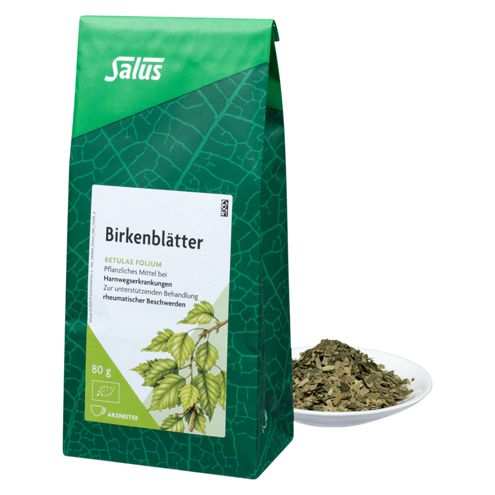 Bio Birkenblätter Tee von Salus