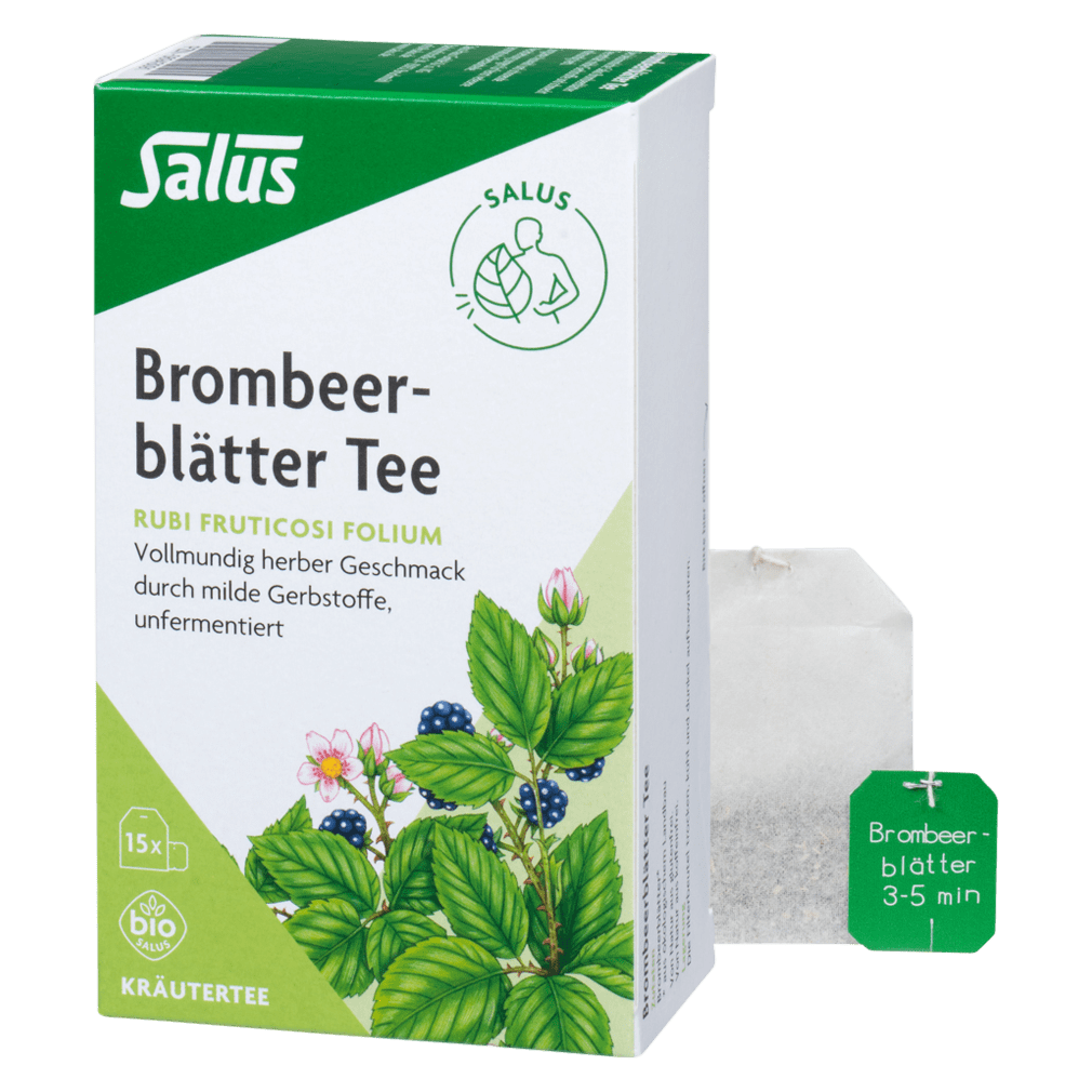 Bio Brombeerblätter Tee von Salus