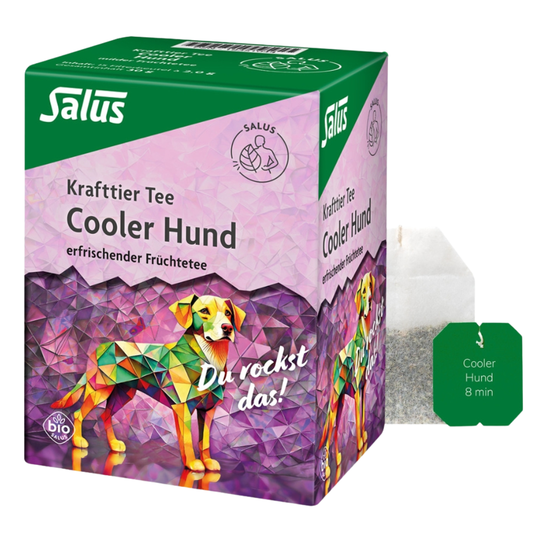 Bio Cooler Hund Früchte Tee Bio Cooler Hund Früchte Tee von Salus