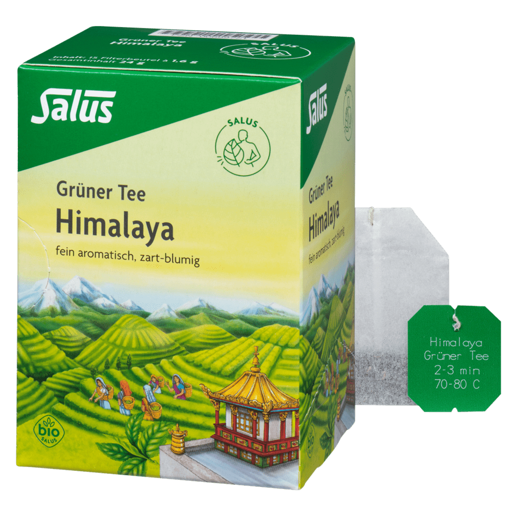 Bio Grüner Tee Himalaya von Salus