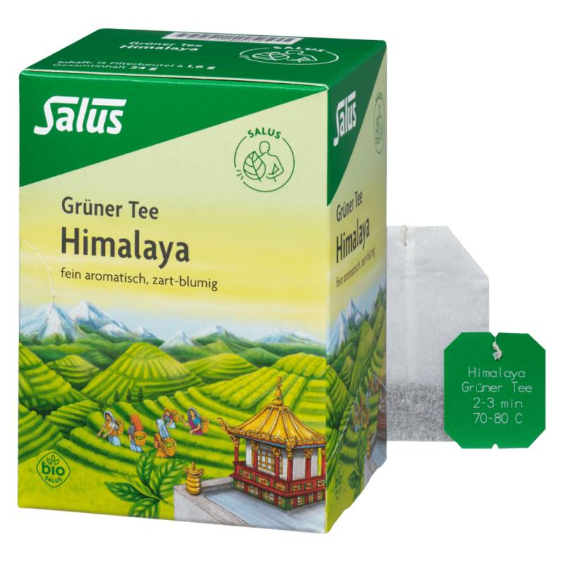 Bio Grüner Tee Himalaya von Salus